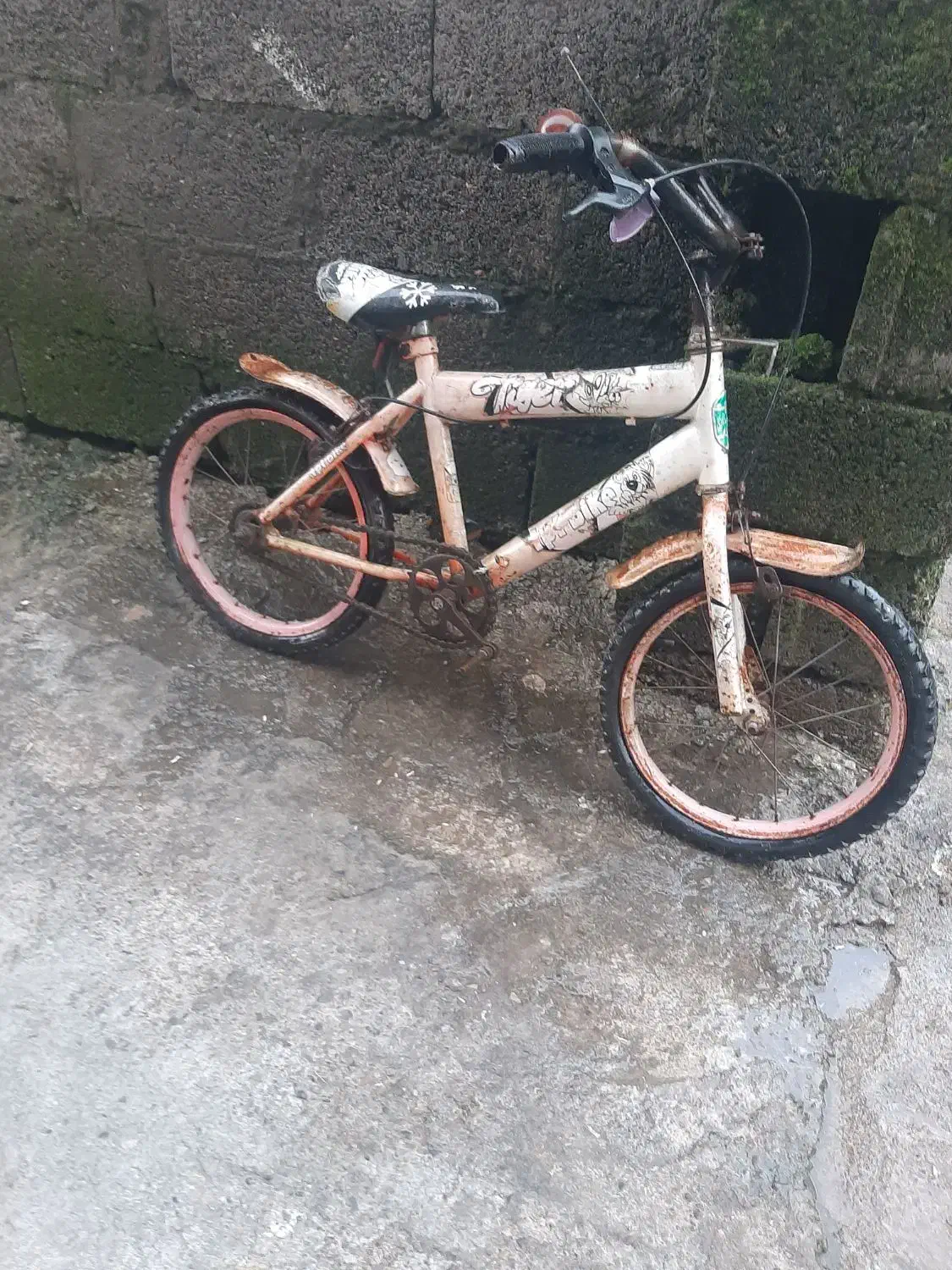 دوچرخه|دوچرخه، اسکیت، اسکوتر|رشت, بازار|دیوار