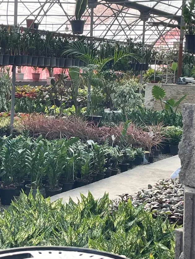 نگهبان شب در گلخانه|استخدام سرایداری و نظافت|مشهد, امیر المومنین|دیوار