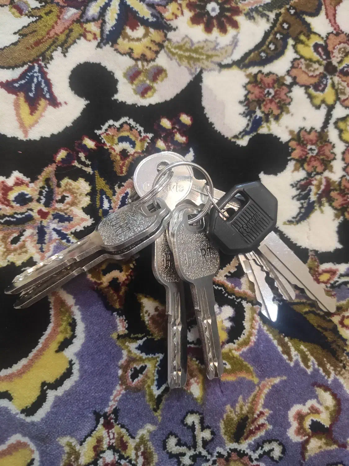 گمشده در شهر مصطفی آباد|اشیا|فارسان, |دیوار