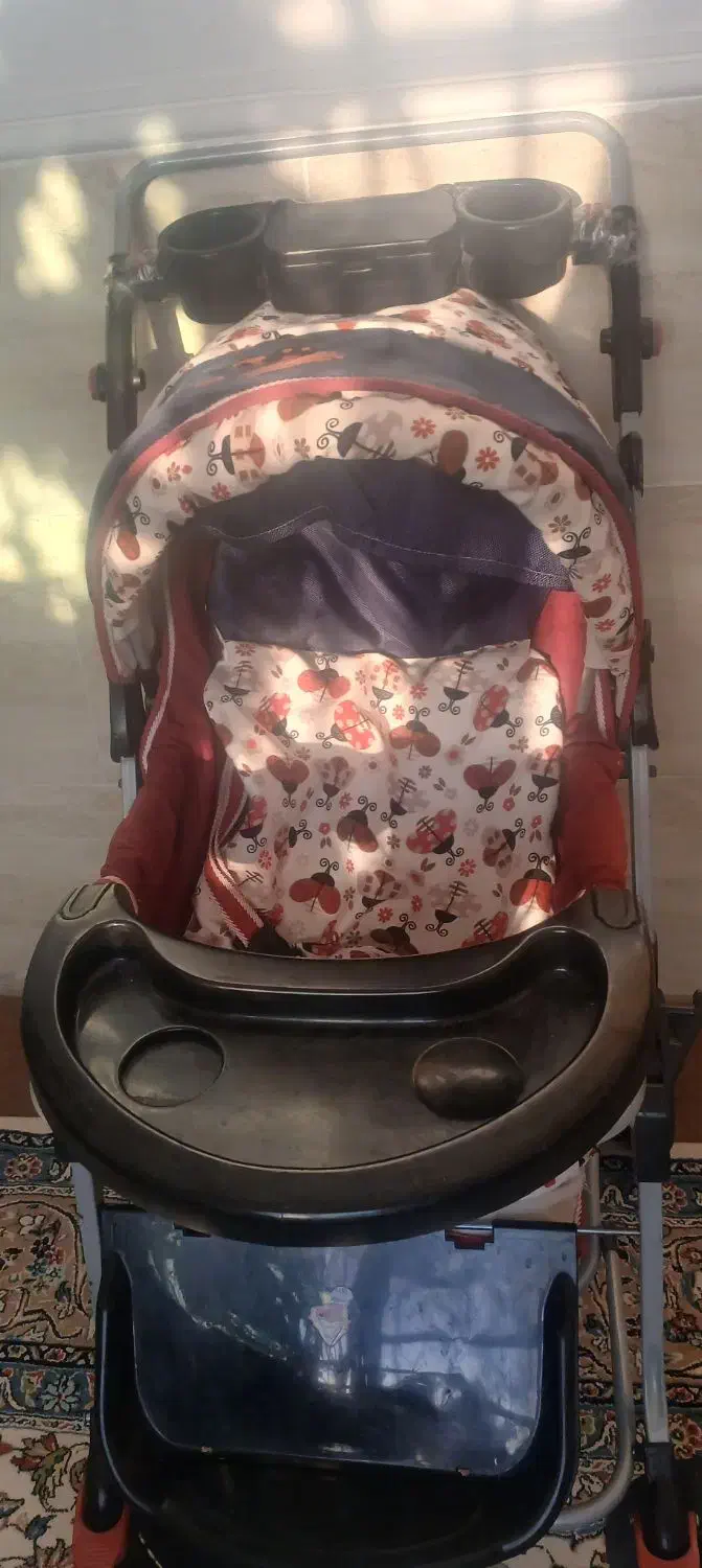 کالسکه|کالسکه و لوازم جانبی|شیراز, لشکری‎|دیوار