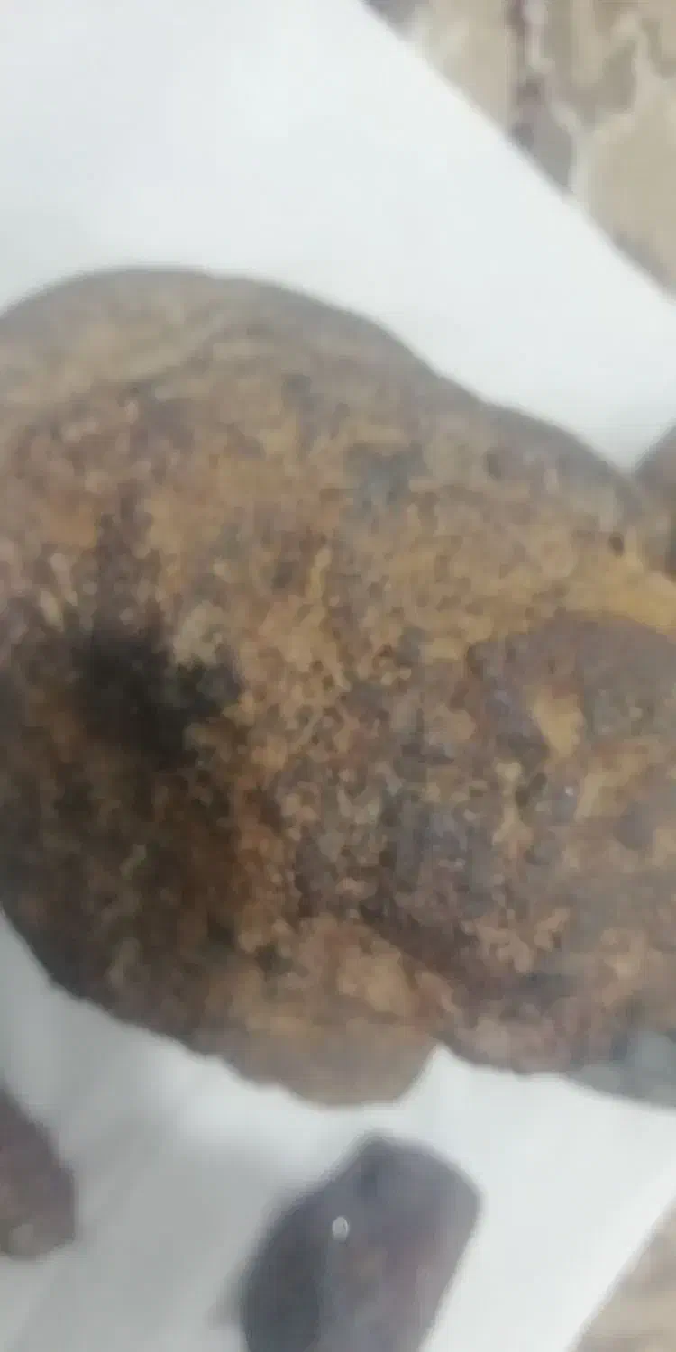 شهاب سنگ|کلکسیون اشیاء عتیقه|سنندج, |دیوار