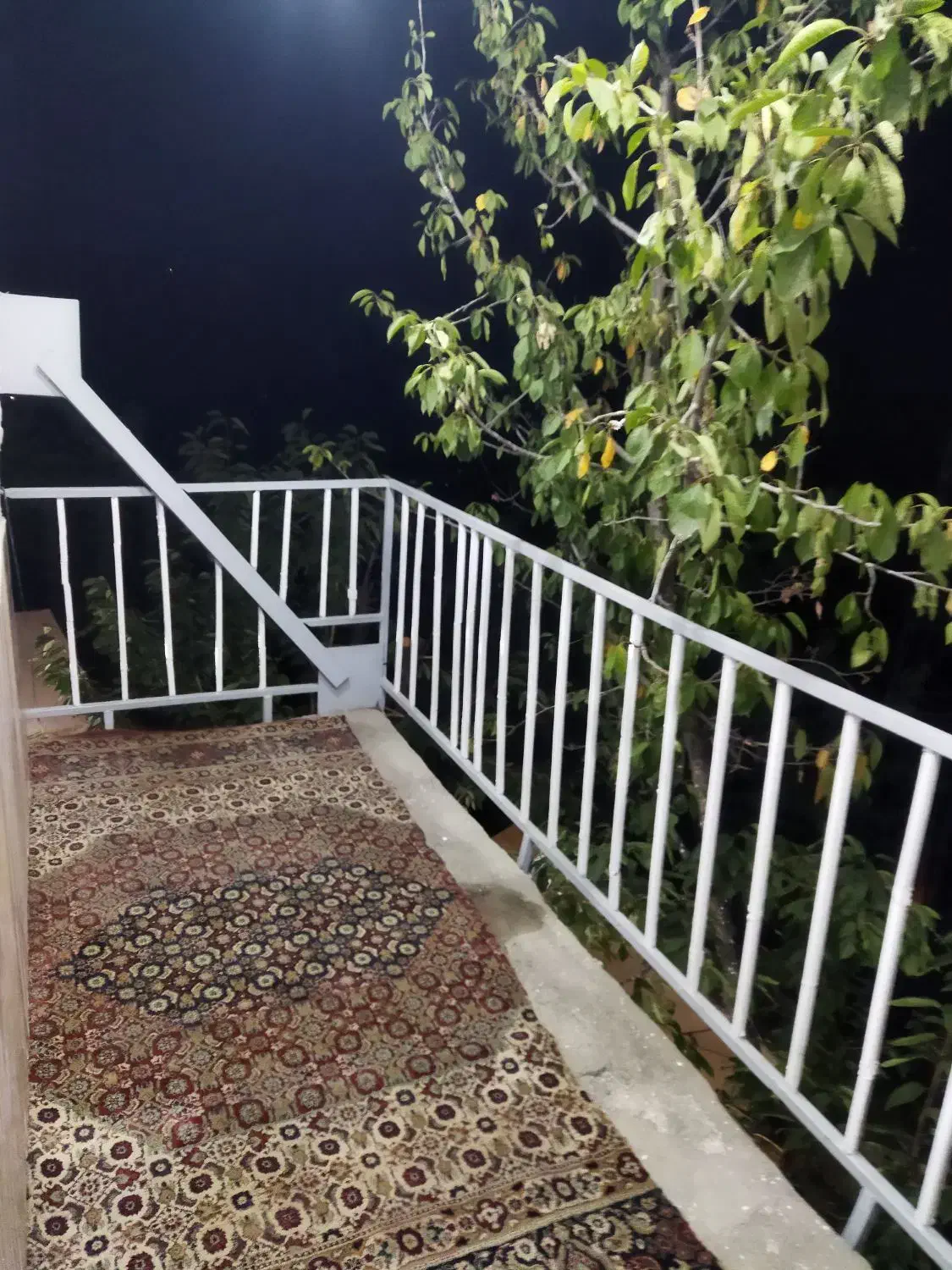 سوییت اجاره ای کنگ|اجارهٔ کوتاهمدت آپارتمان و سوئیت|طرقبه, |دیوار