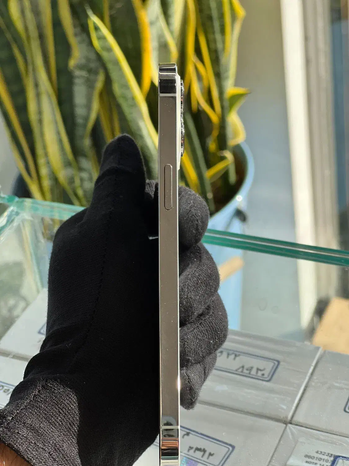 اپل iPhone 12 Pro Max رنگ سفید|موبایل|یزد, |دیوار