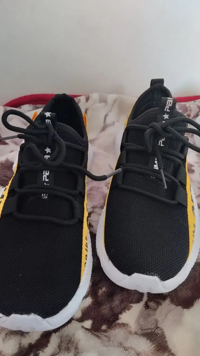 کفش راحتی|کیف، کفش، کمربند|شیروان (خراسان), |دیوار