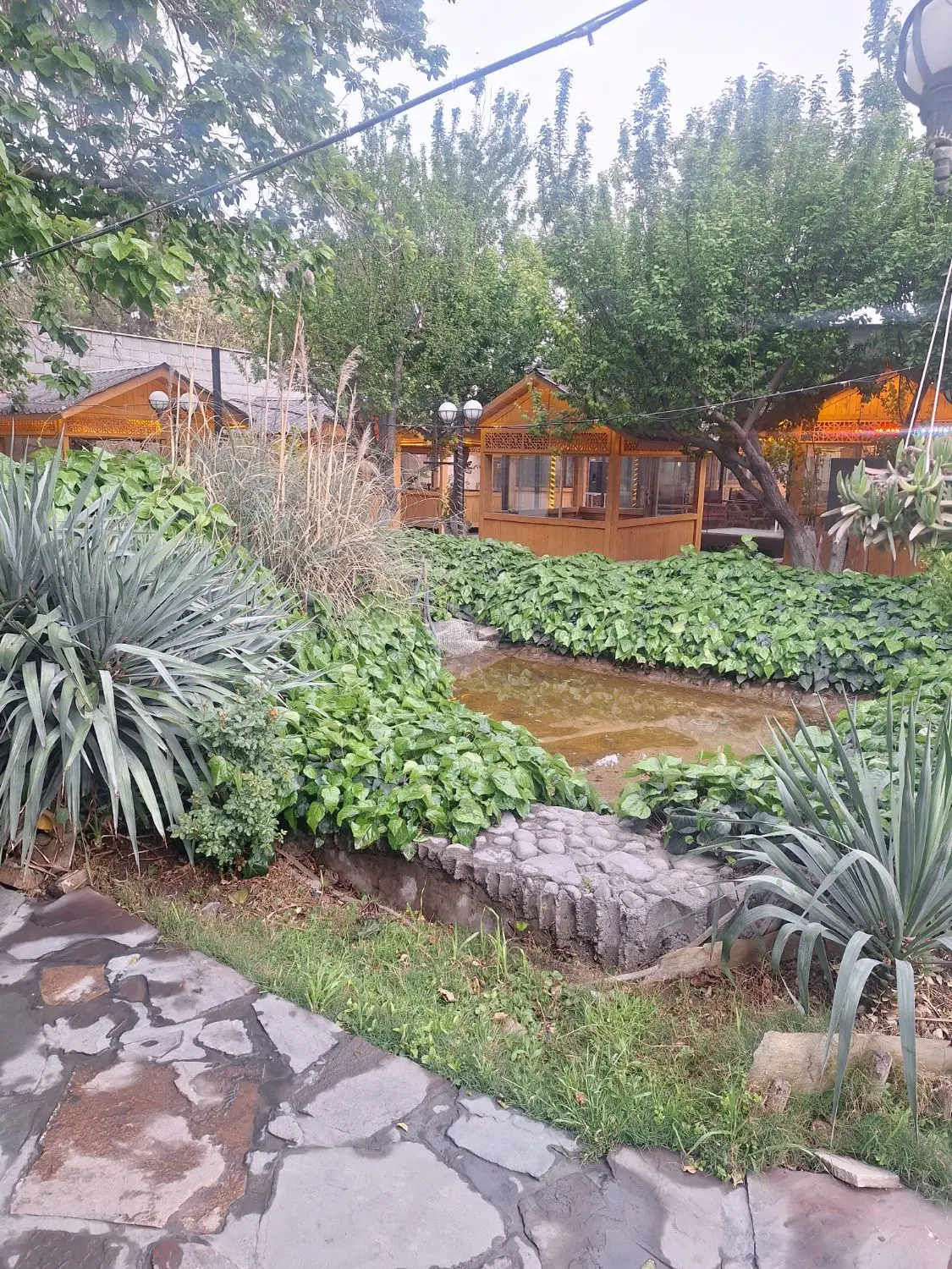 خواننده|استخدام هنری و رسانه|چهاردانگه (تهران), |دیوار