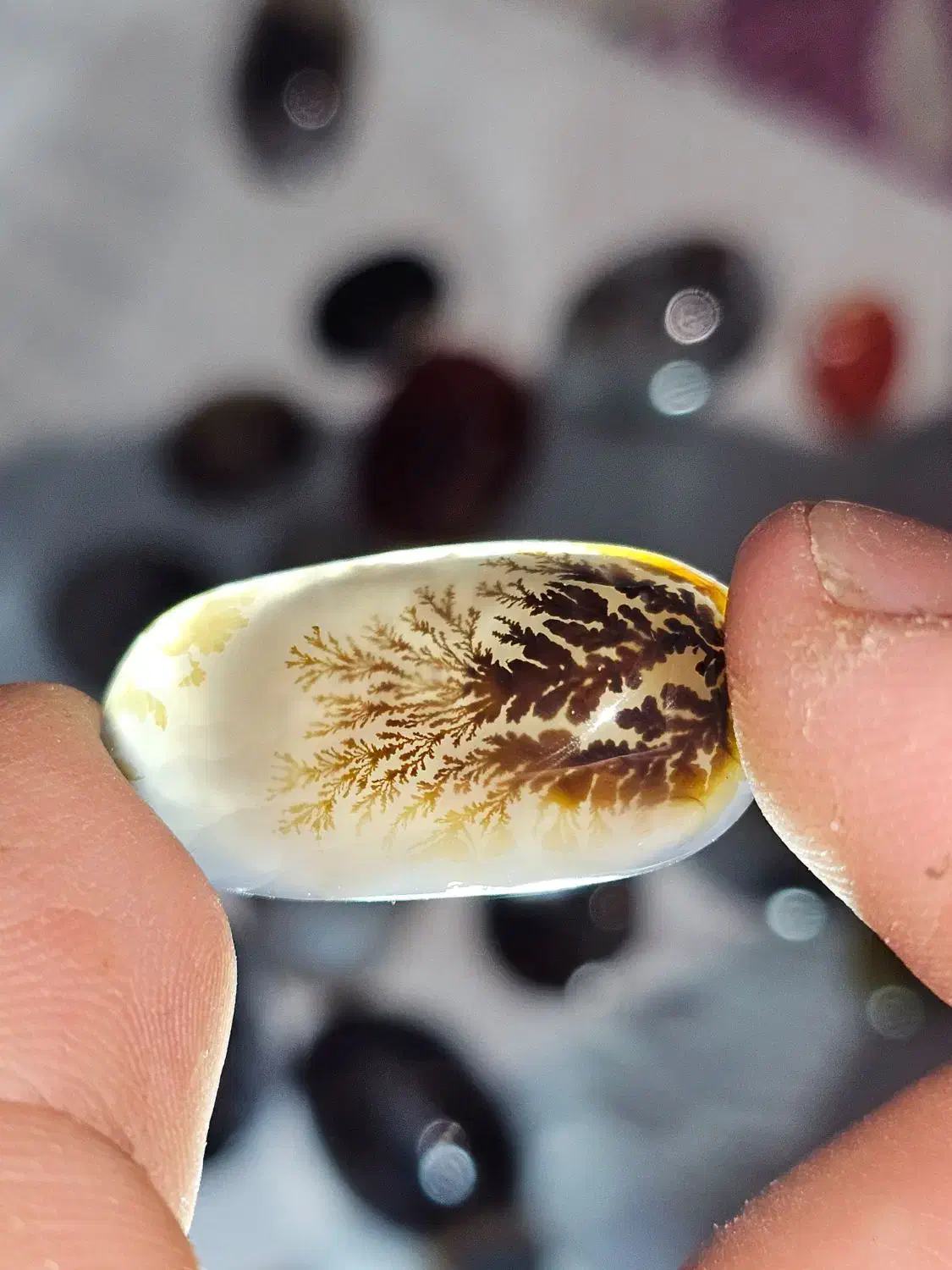 مقداری راف و نگین شجر|جواهرات|کرمان, |دیوار