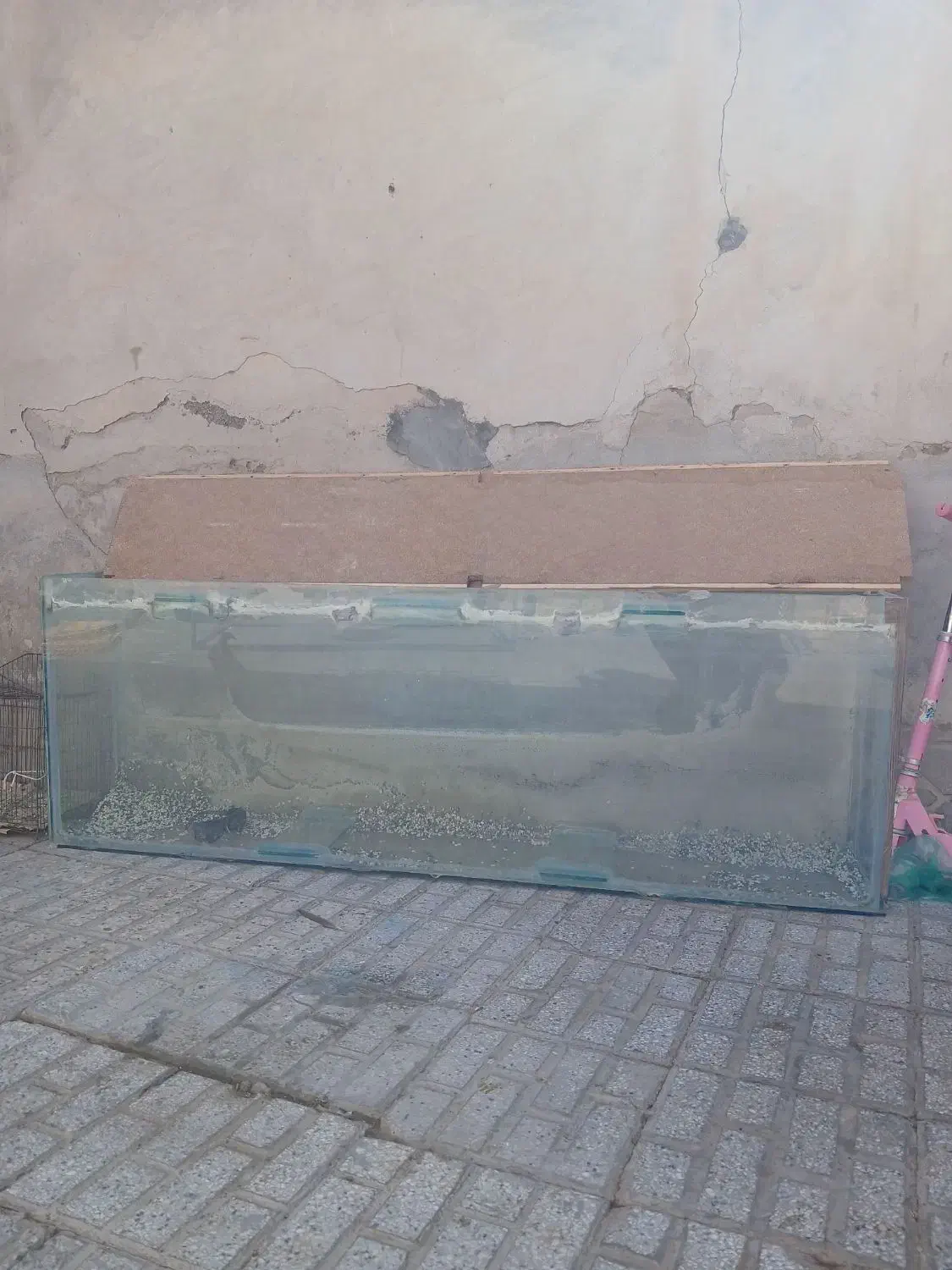 آکواریوم|ماهی|تربتحیدریه, بازار|دیوار