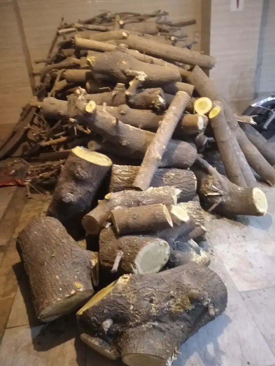 هرس درخت شمشاد خدمات باغبانی آذری|خدمات باغبانی و درختکاری|تهران, صادقیه|دیوار