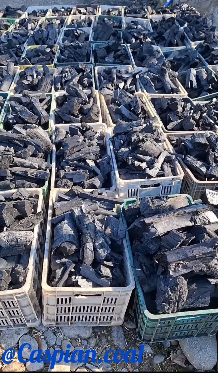 فروش زغال گلخانه ای|عمده‌فروشی|خرم‌آباد (تنکابن), |دیوار