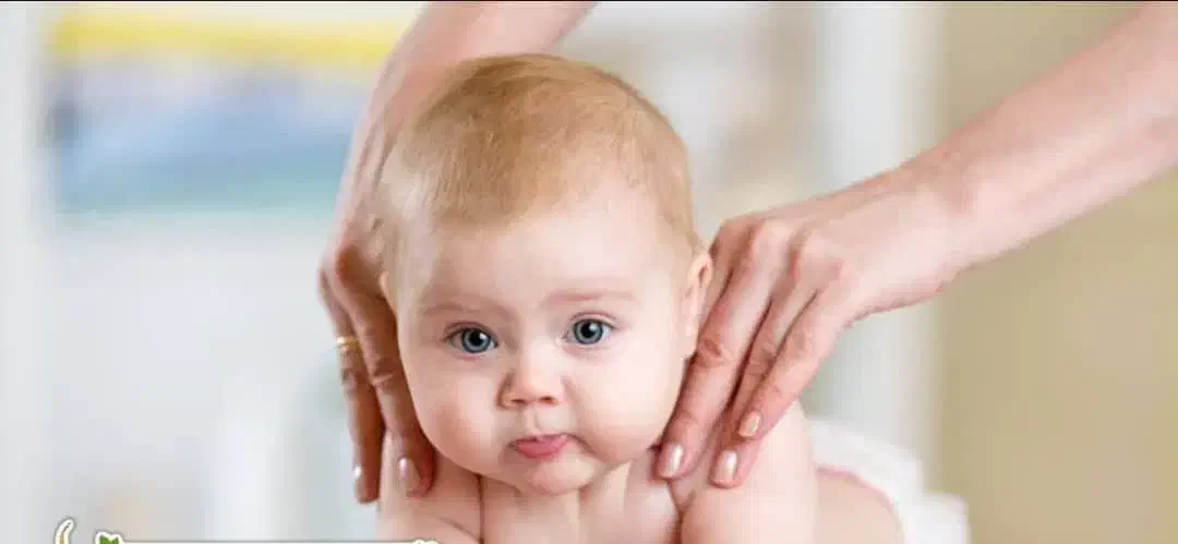 محصولات گیاهی|آرایشی، بهداشتی، درمانی|کرمانشاه, |دیوار