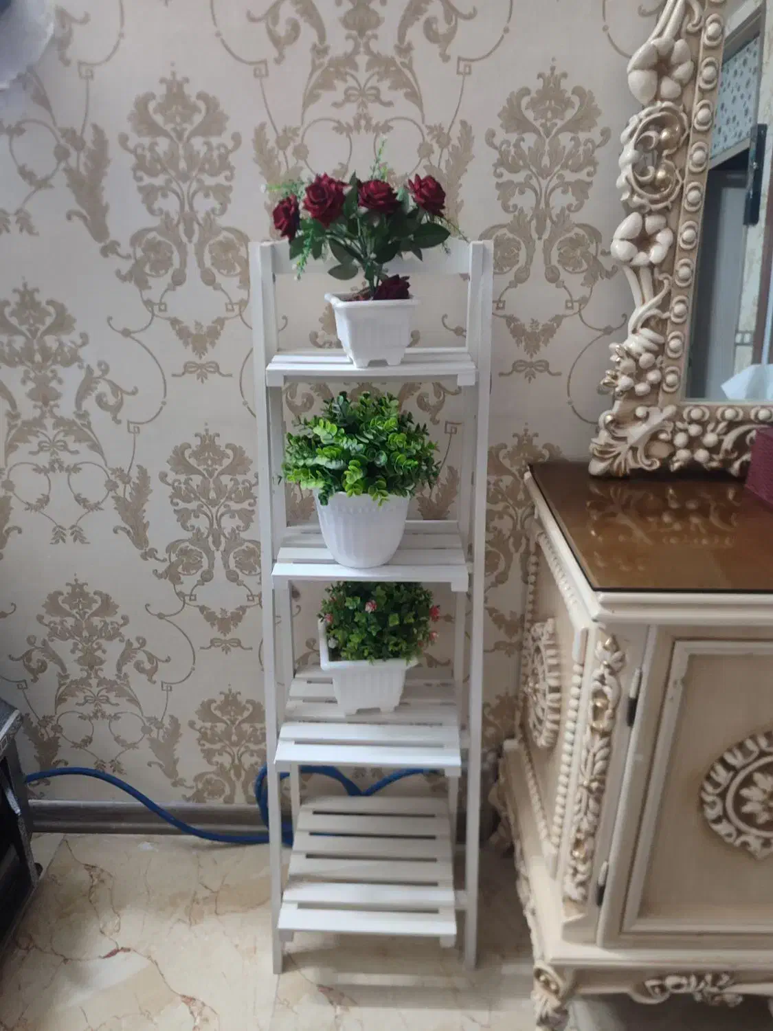 طبقه گلدان|گل و گیاه طبیعی|دلیجان, |دیوار