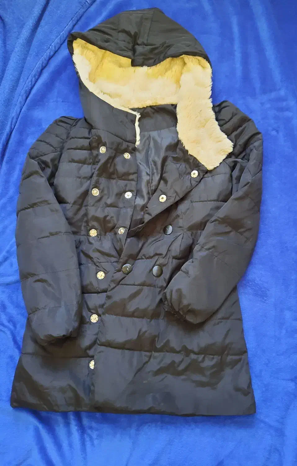 پالتو دخترانه|لباس|قمرود, |دیوار