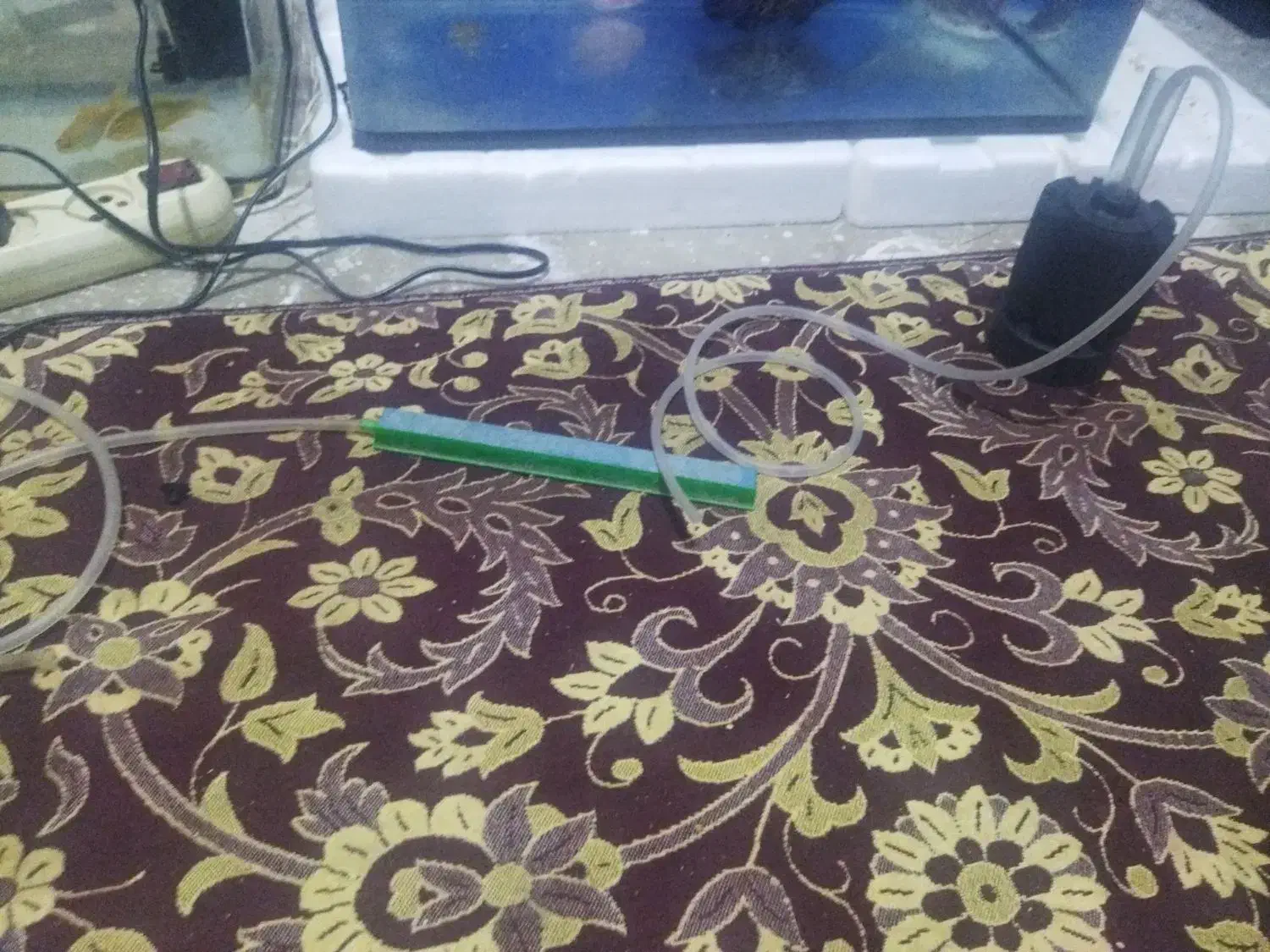 سلام|ماهی|باقرشهر, |دیوار