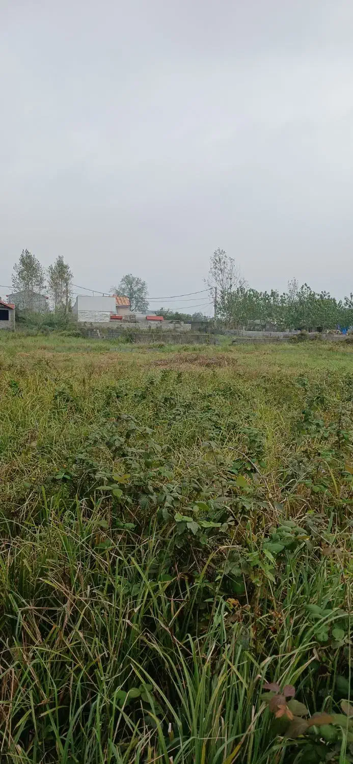 فروش یک قطعه زمین|فروش زمین و ملک کلنگی|رشت, شهرک احمد خمینی|دیوار