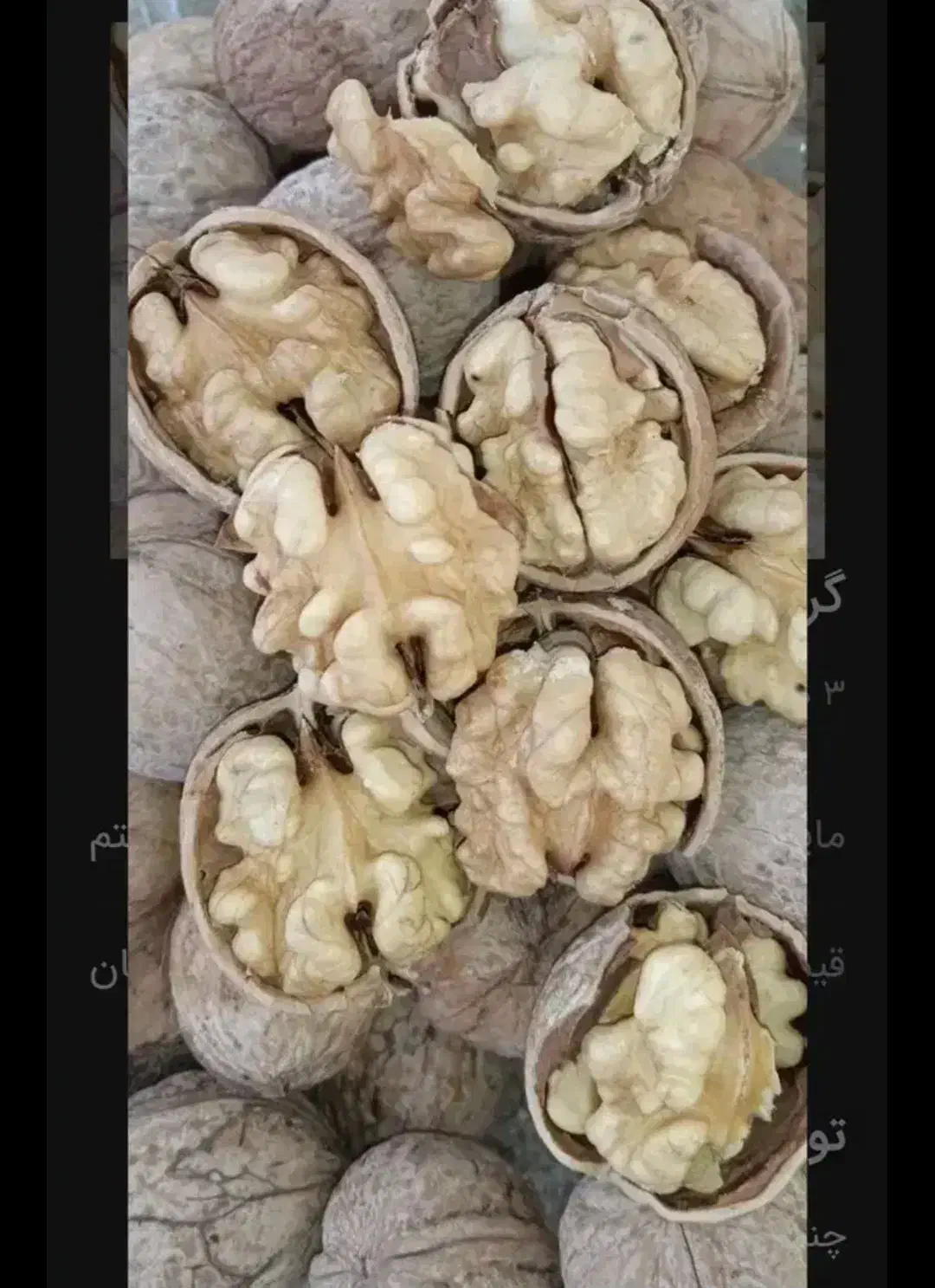 گردو|عمده‌فروشی|سهند, |دیوار