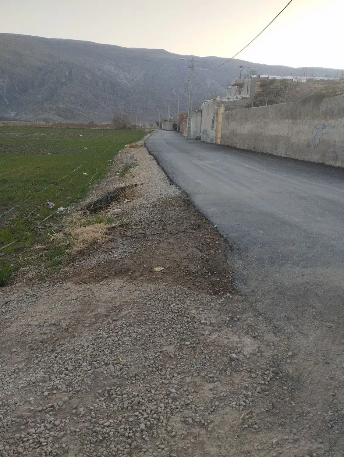 زمین گلخانه وباغ شهری|فروش دفتر صنعتی، کشاورزی، تجاری|سیدان, |دیوار