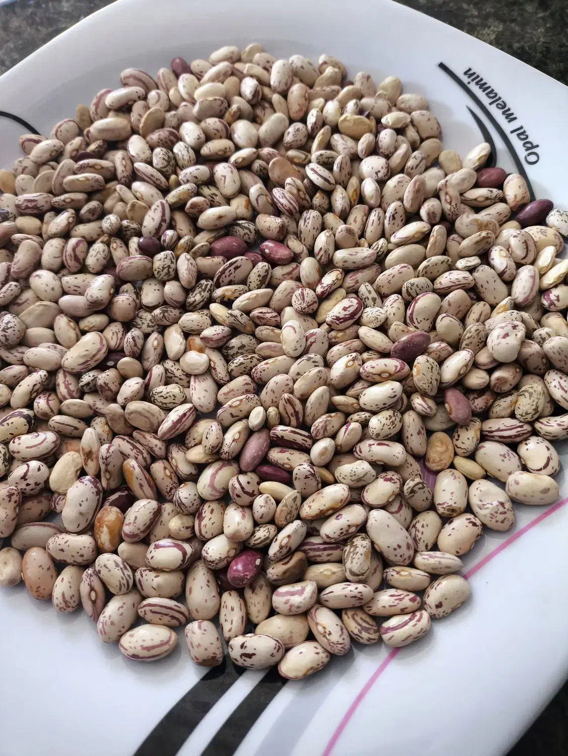 لوبیا چیتی|خوردنی و آشامیدنی|بیرانوند, |دیوار