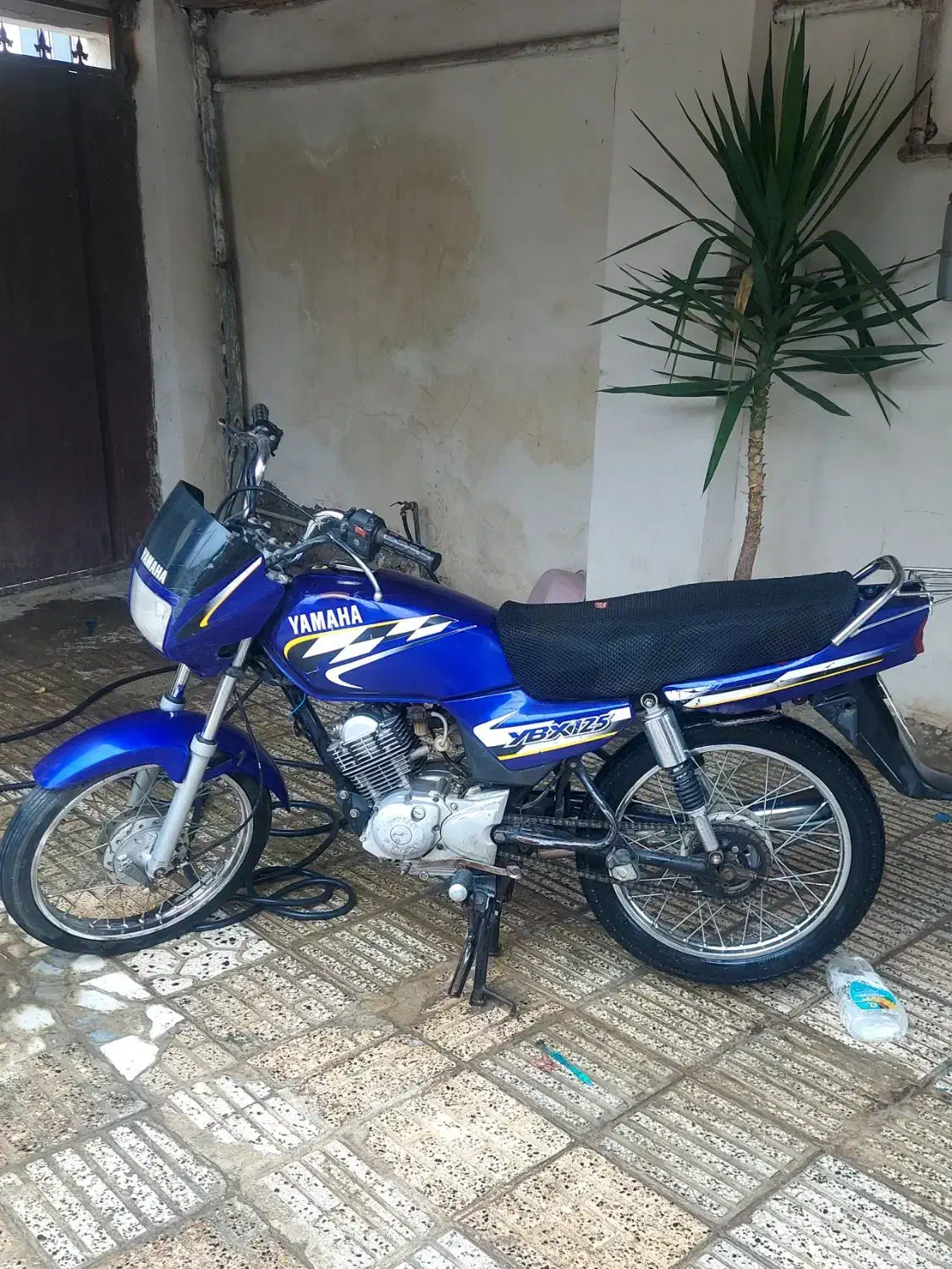 دزدیده شده|اشیا|رامیان, |دیوار