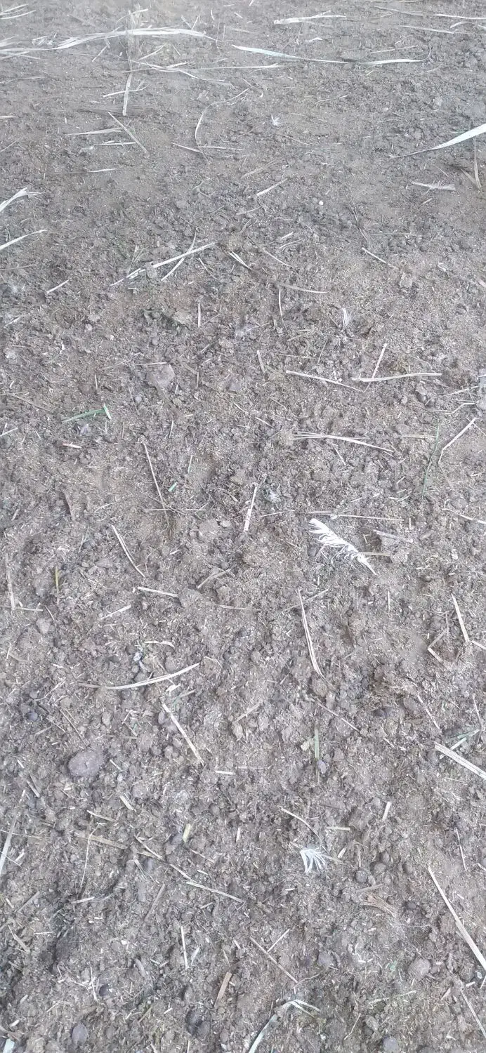 سمات گاوی|لوازم جانبی حیوانات|سراوان, |دیوار