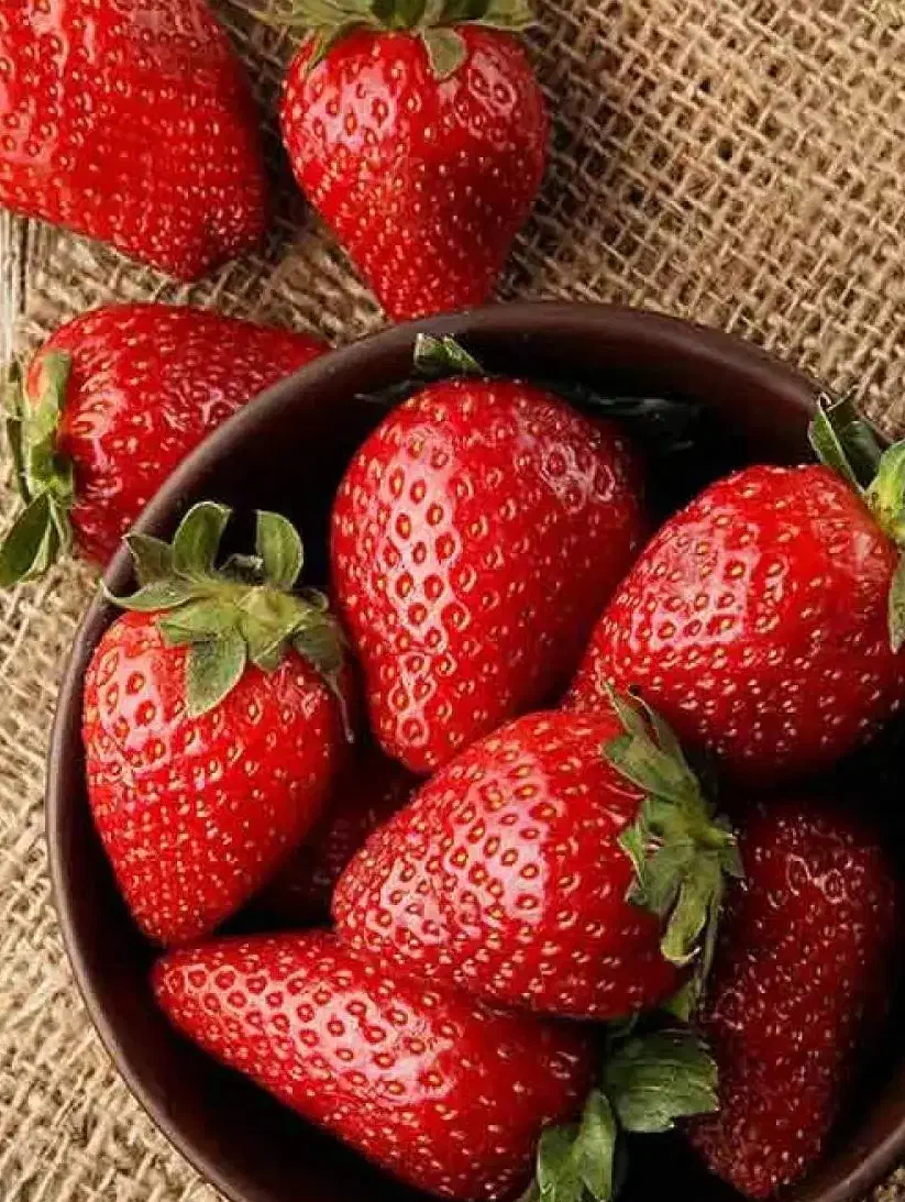 مشاوره زوجین|فعالیت داوطلبانه|تهران, سازمان آب|دیوار