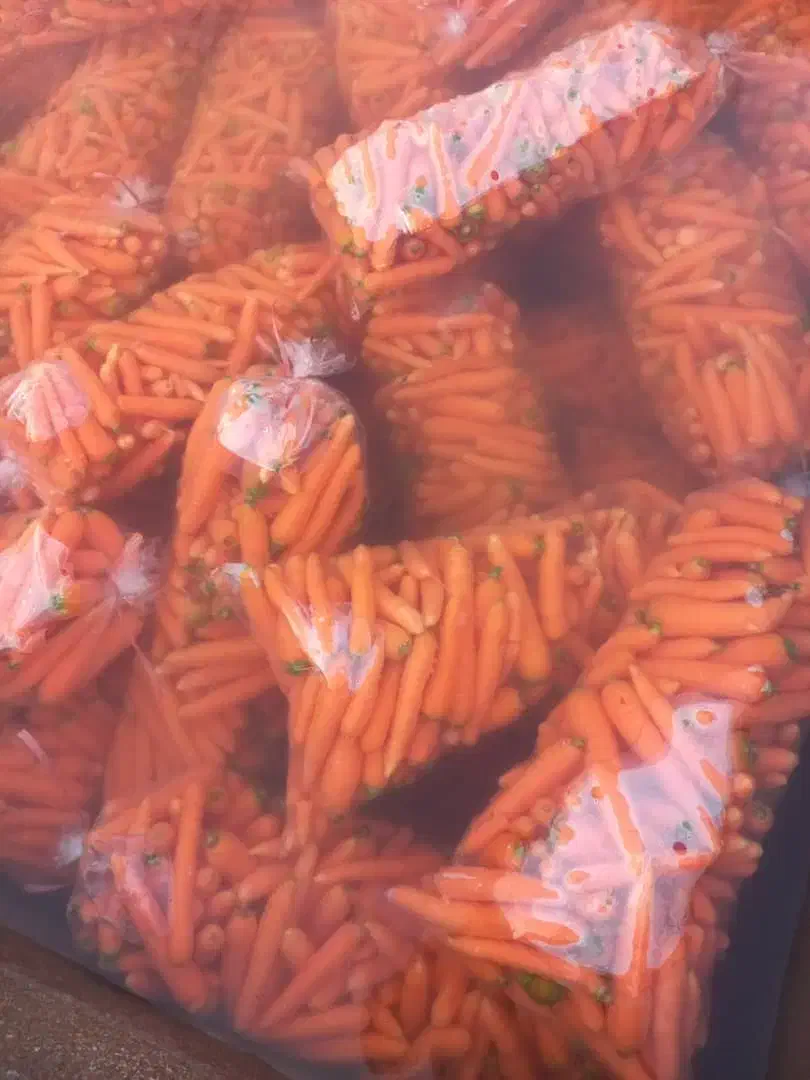 ارسال هویج|خوردنی و آشامیدنی|تهران, حر|دیوار