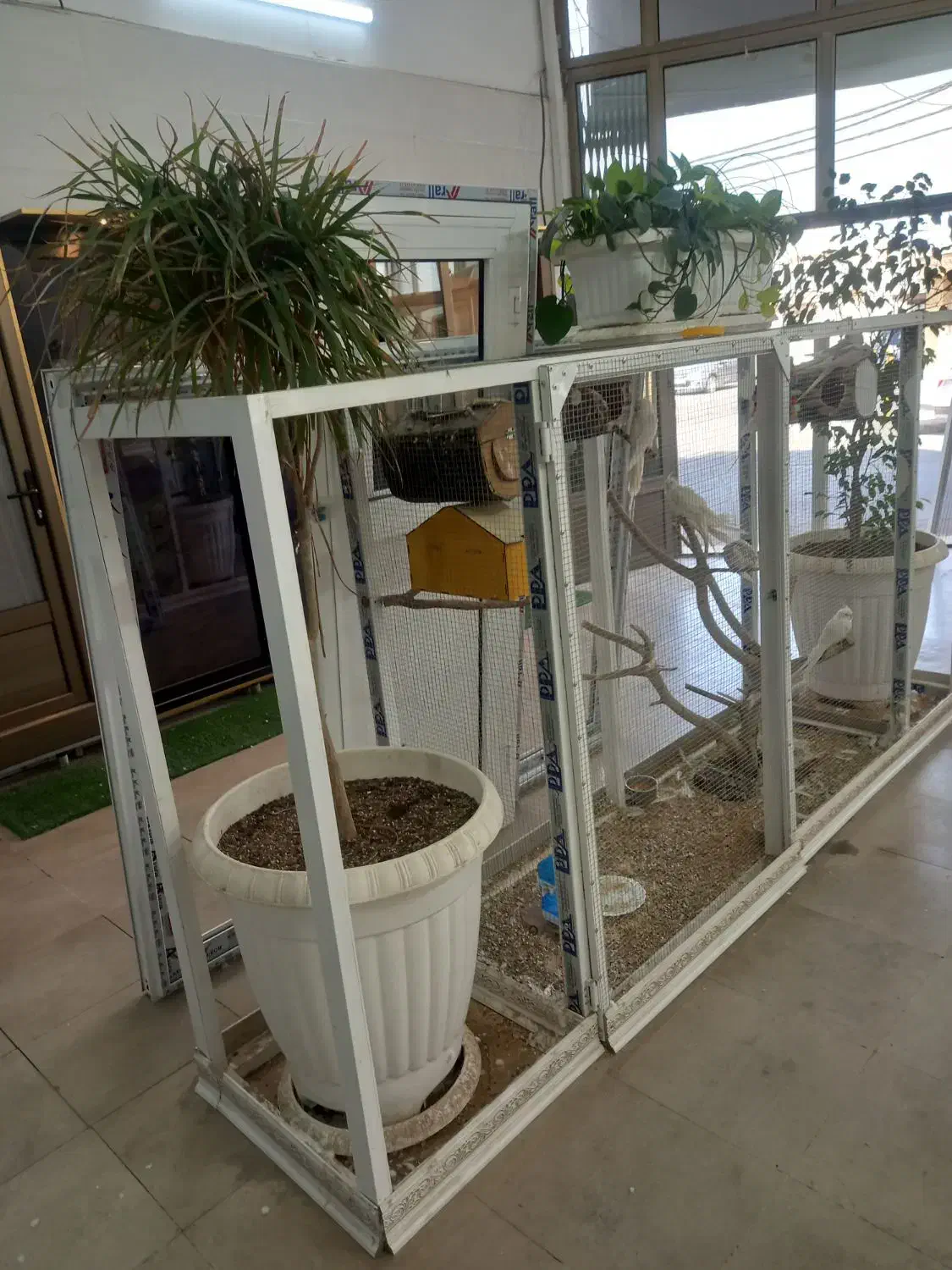 قفس آلومینیومی با عروس البینو ۱۰ عدد|لوازم جانبی حیوانات|قم, چهار امامزاده|دیوار