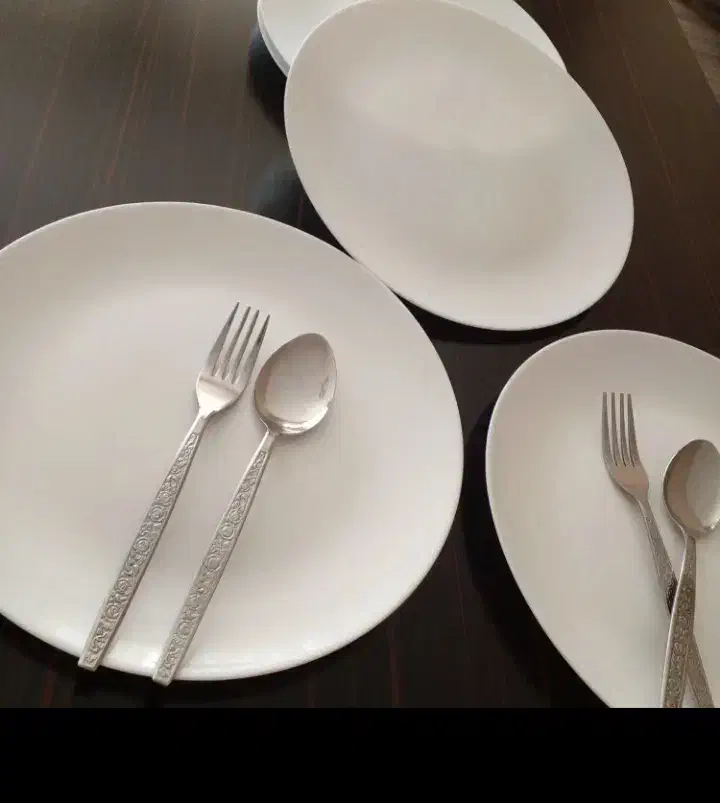 بشقاب برنج خوری ارکوپال|ظروف سرو و پذیرایی|فولادشهر, B5|دیوار