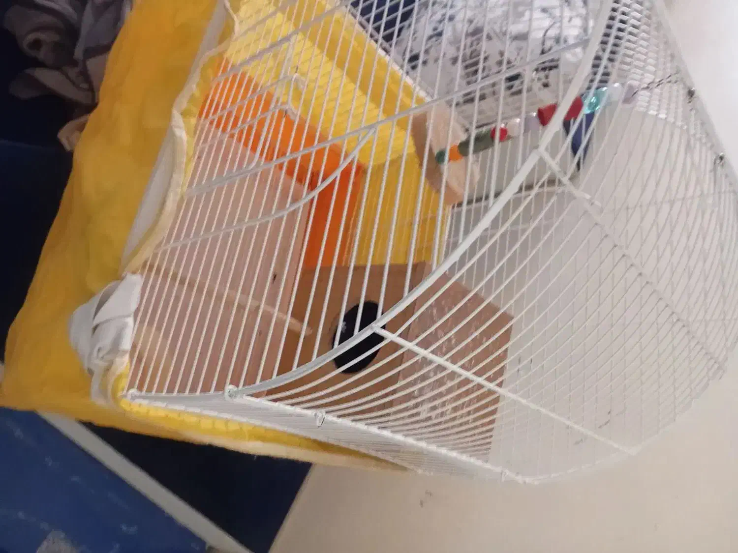فروش یک قفس زیبا پرنده با تمام لوازم|لوازم جانبی حیوانات|تهران, افسریه شمالی|دیوار
