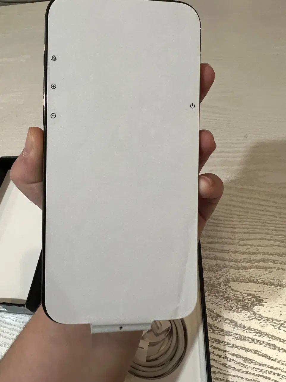 آیفون ۱۳ پرومکس|موبایل|رشت, دیلمان|دیوار