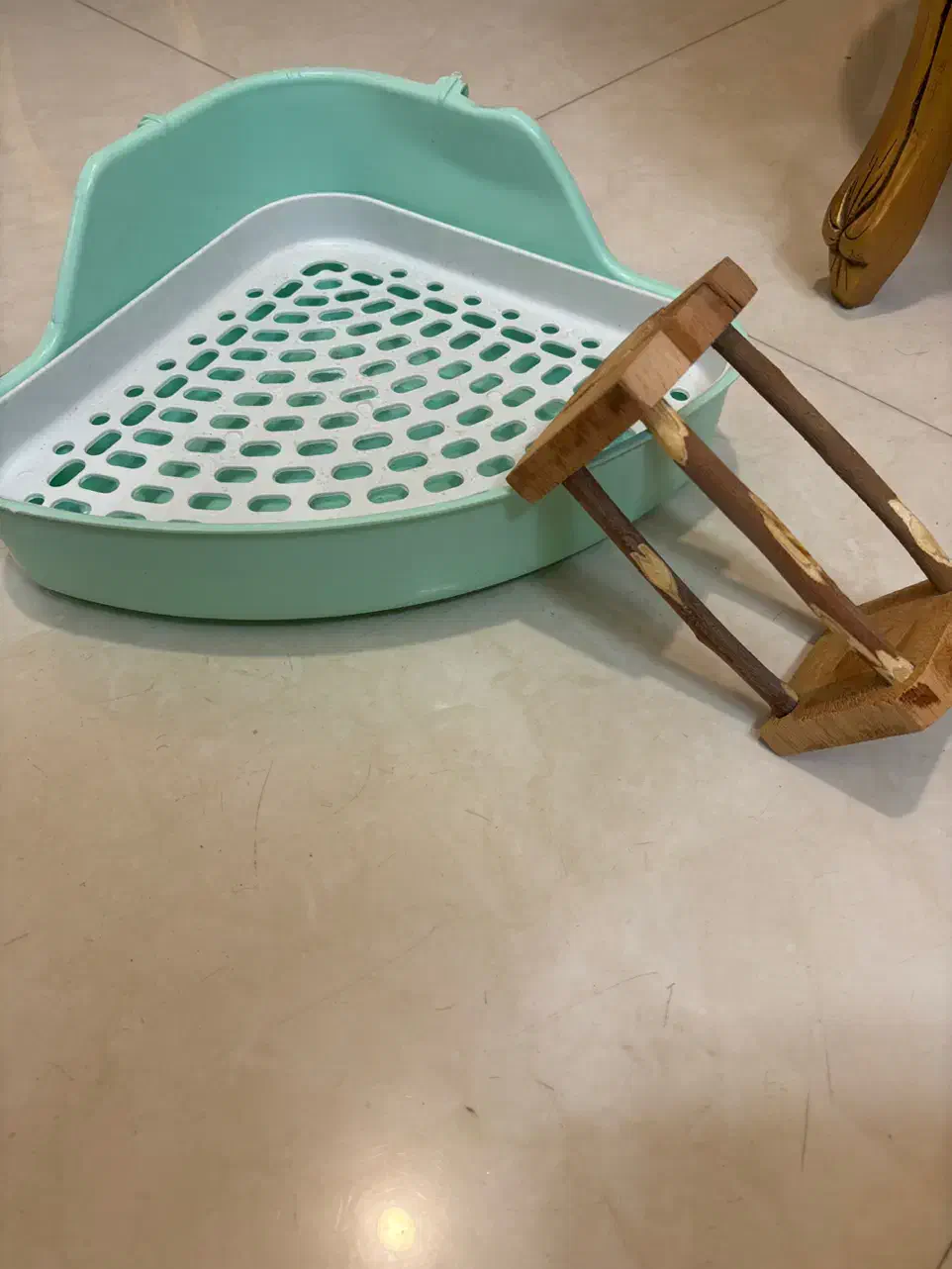 خانه و قفس و یونجه بند و ظرف دستشویی خرگوش|لوازم جانبی حیوانات|قزوین, |دیوار