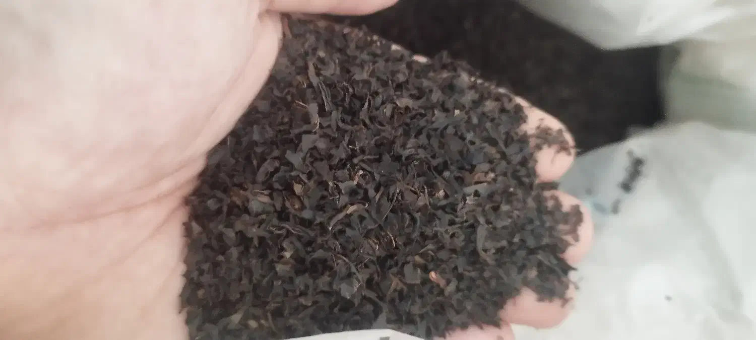 چای بهاره ممتاز زرین ۱۴۰۴ لاهیجان|خوردنی و آشامیدنی|رشت, گلسار|دیوار