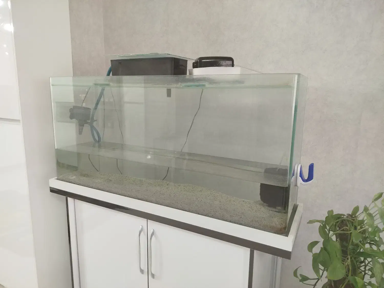 آکواریوم شیشه خم شرکتی|ماهی|کرمانشاه, |دیوار