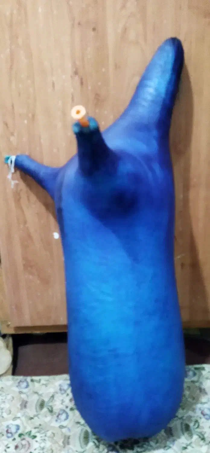 نی انبان|سازهای بادی|اهواز, شریعتی جنوبی|دیوار