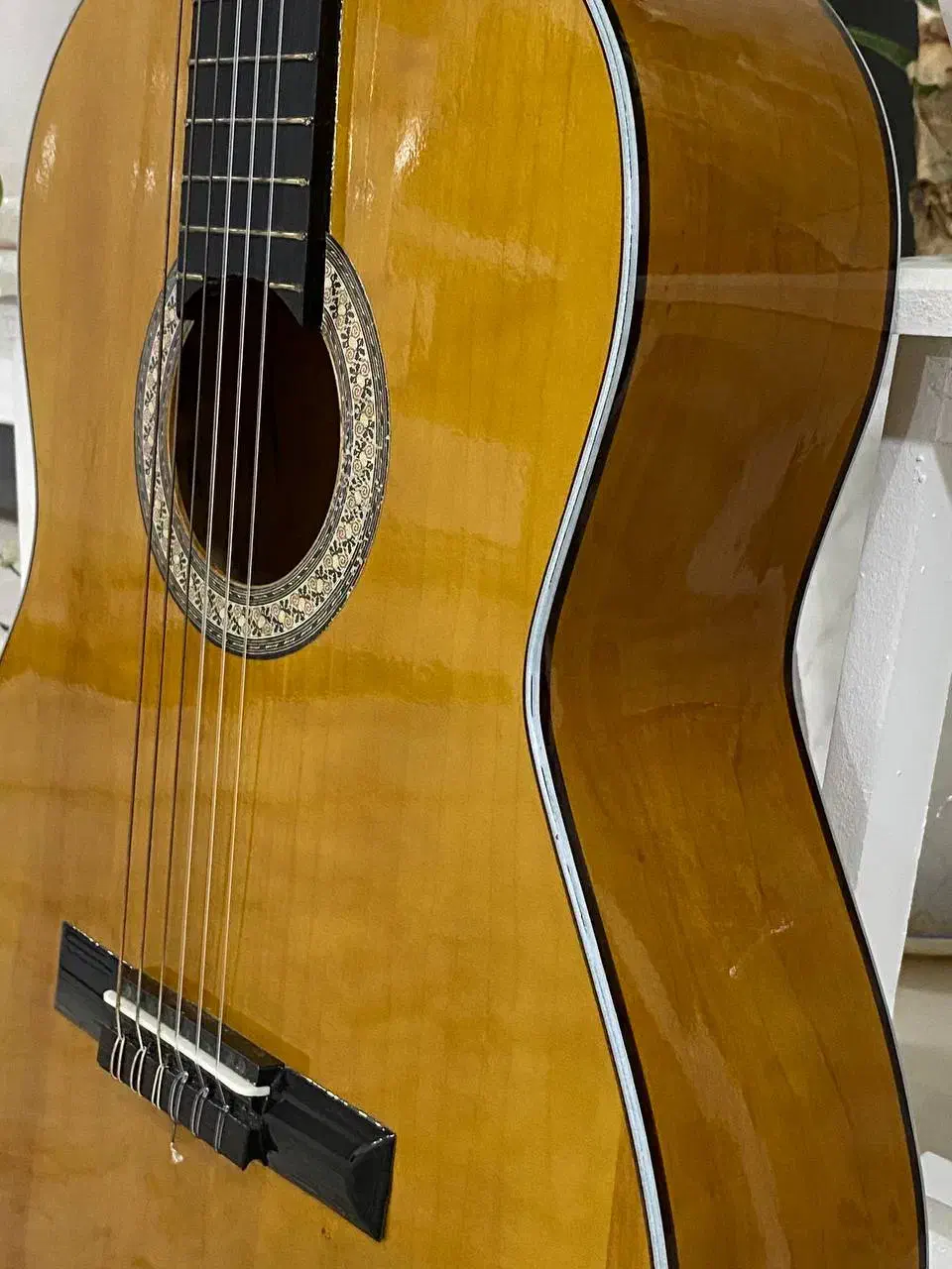 گیتار زیر قیمت|گیتار، بیس، امپلیفایر|نظرآباد, احمد آباد|دیوار