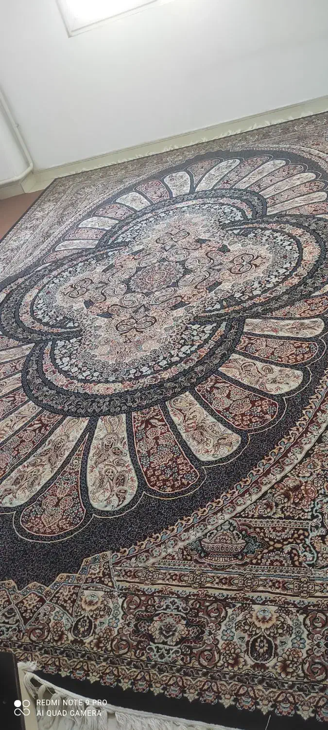 دوتخته فرش دوازده متری 700شانه درحدنو|فرش|پاکدشت, پاکدشت (مامازند)|دیوار