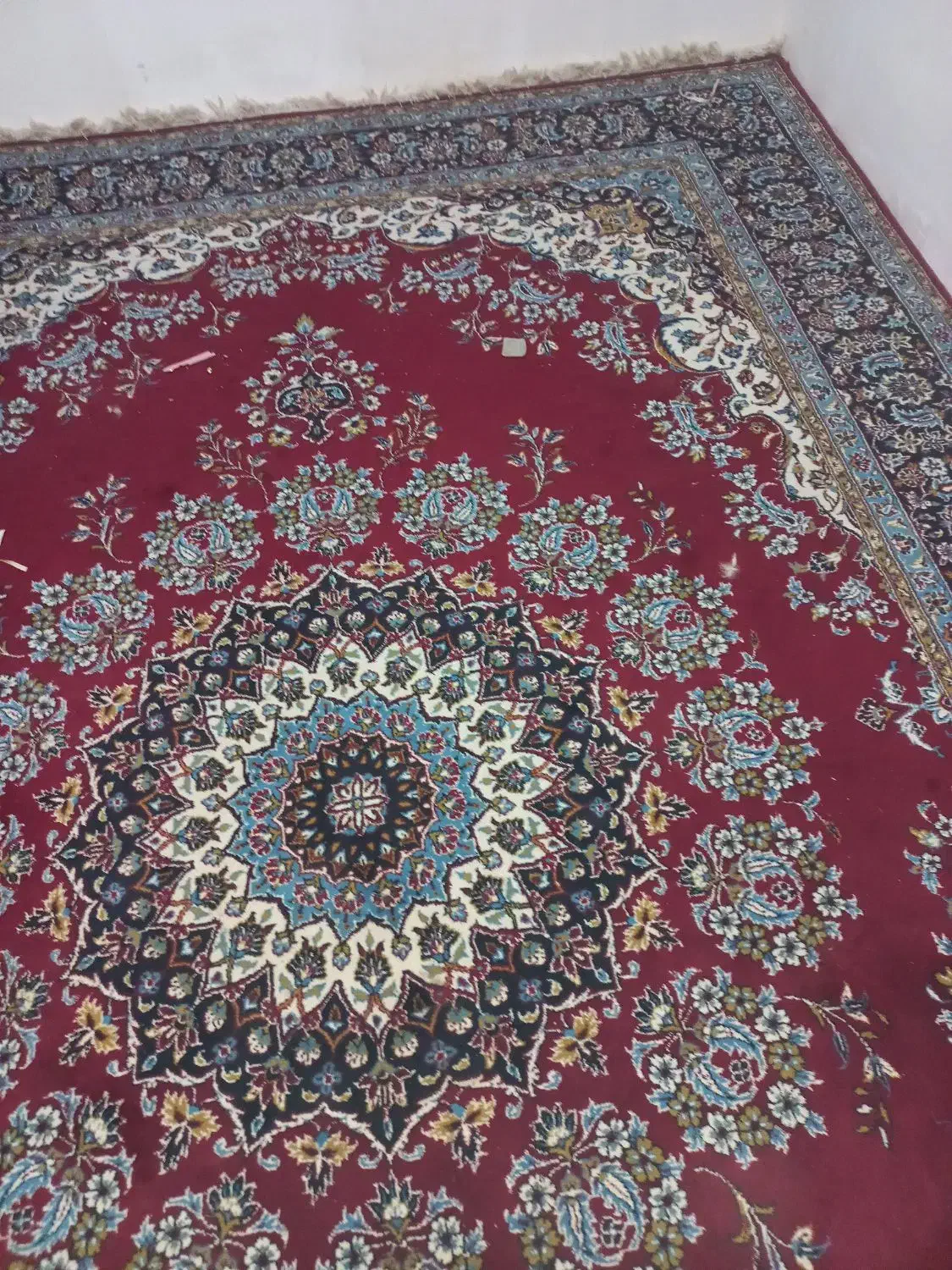 فرش نه متری زمینه لاکی|فرش|سبزوار, قلعه‌نو دهزار|دیوار