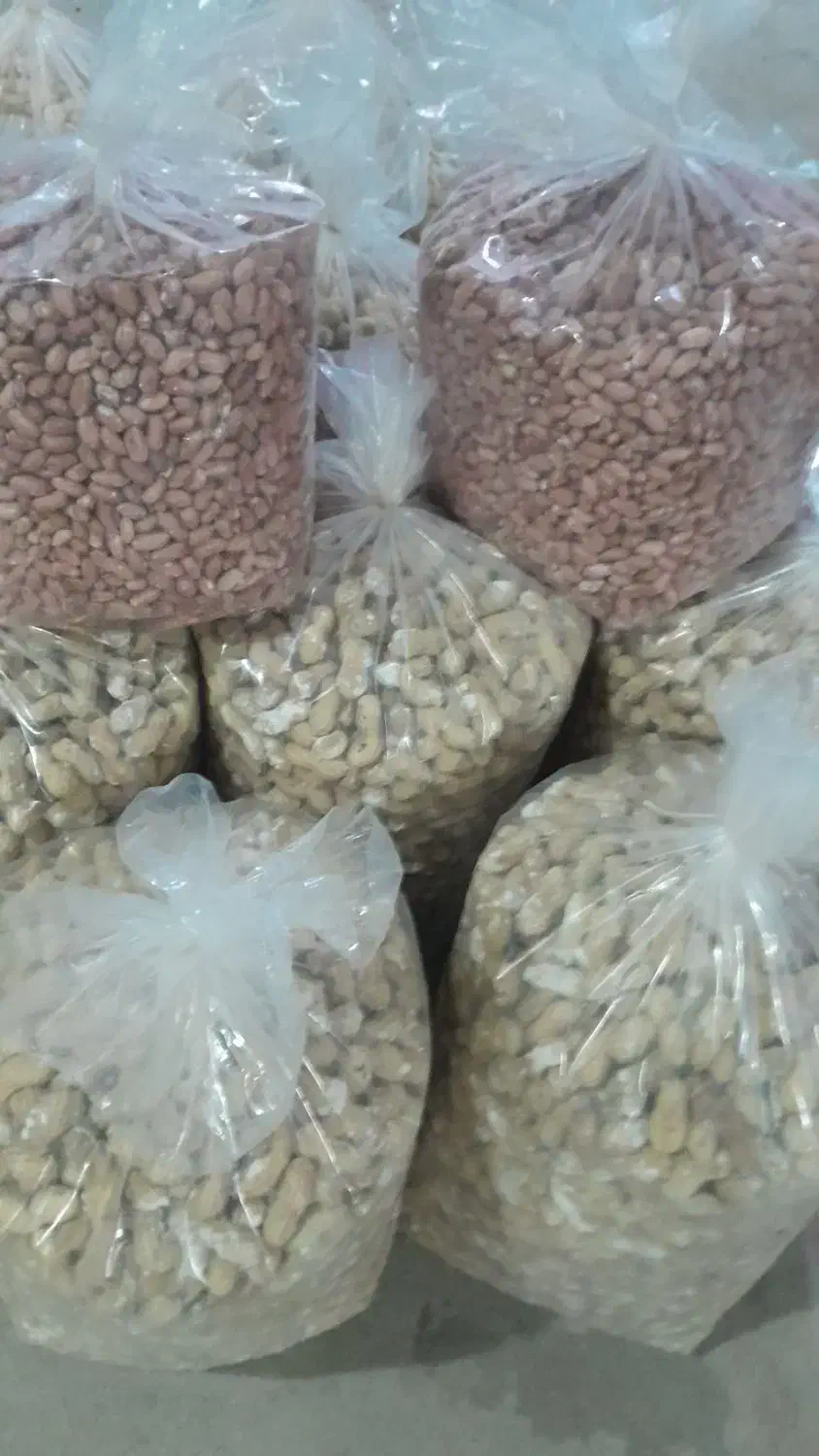 بادام زمینی تازه قیمت کیلویی۳۲۰ خرده به قیمت عمده|حراج|اردبیل, |دیوار