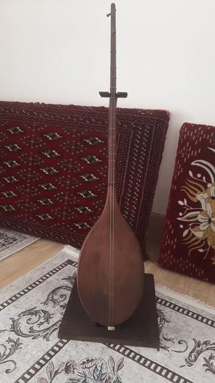 دوتار ترکمنستان|سازهای سنتی|گنبد کاووس, |دیوار