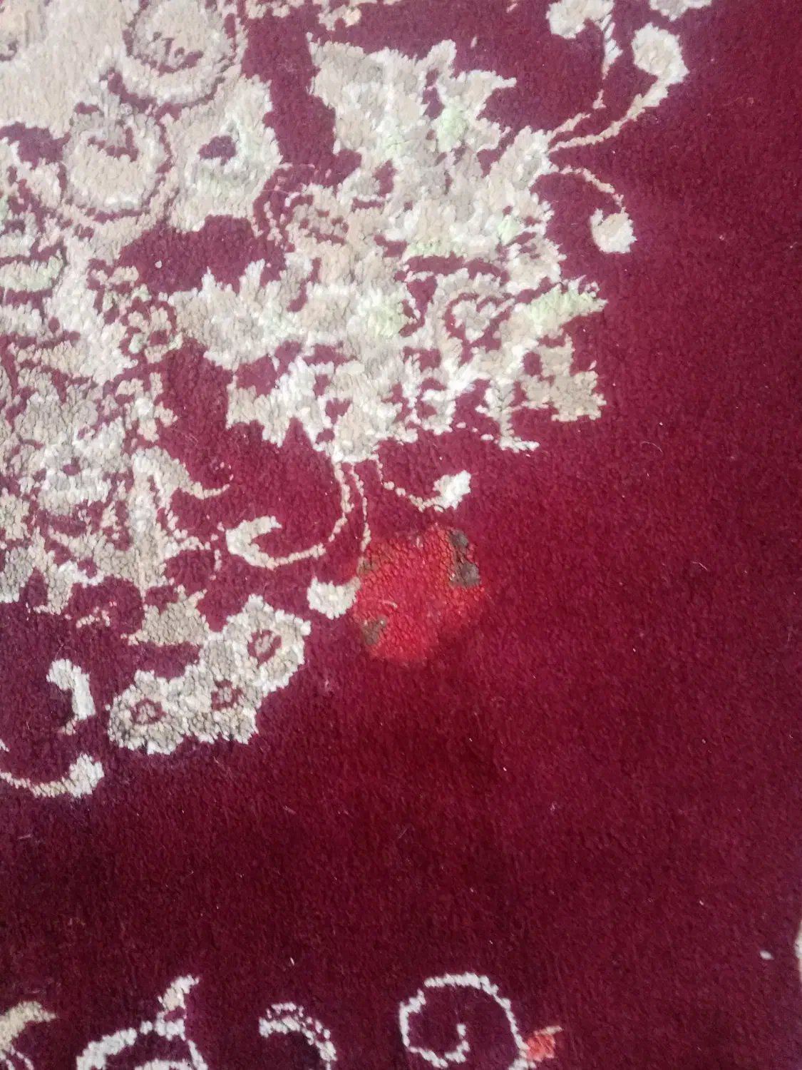 فرش2در3|فرش|نیشابور, ابراهیمی|دیوار