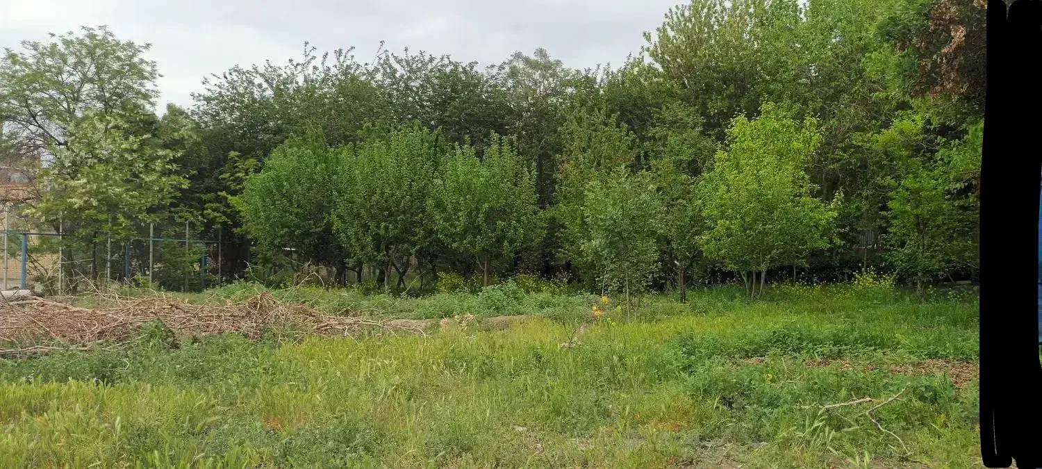 راهنمایی|فعالیت داوطلبانه تحقیقاتی|مشهد, نکاح|دیوار