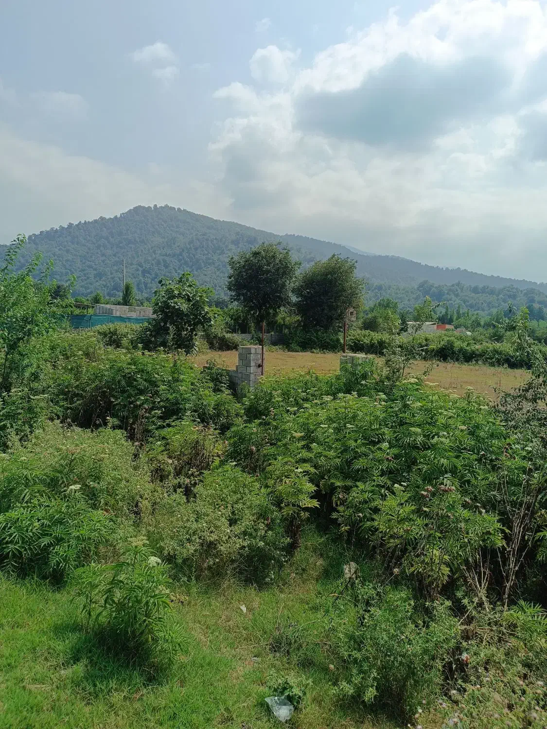 زمین 600 متری شکار بر اصلی توسکستان|فروش زمین و ملک کلنگی|گرگان, |دیوار