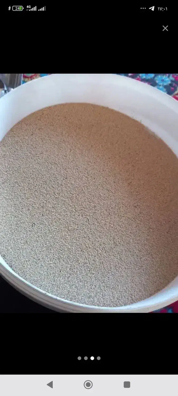 بذر درجه یک|گل و گیاه طبیعی|الیگودرز, |دیوار