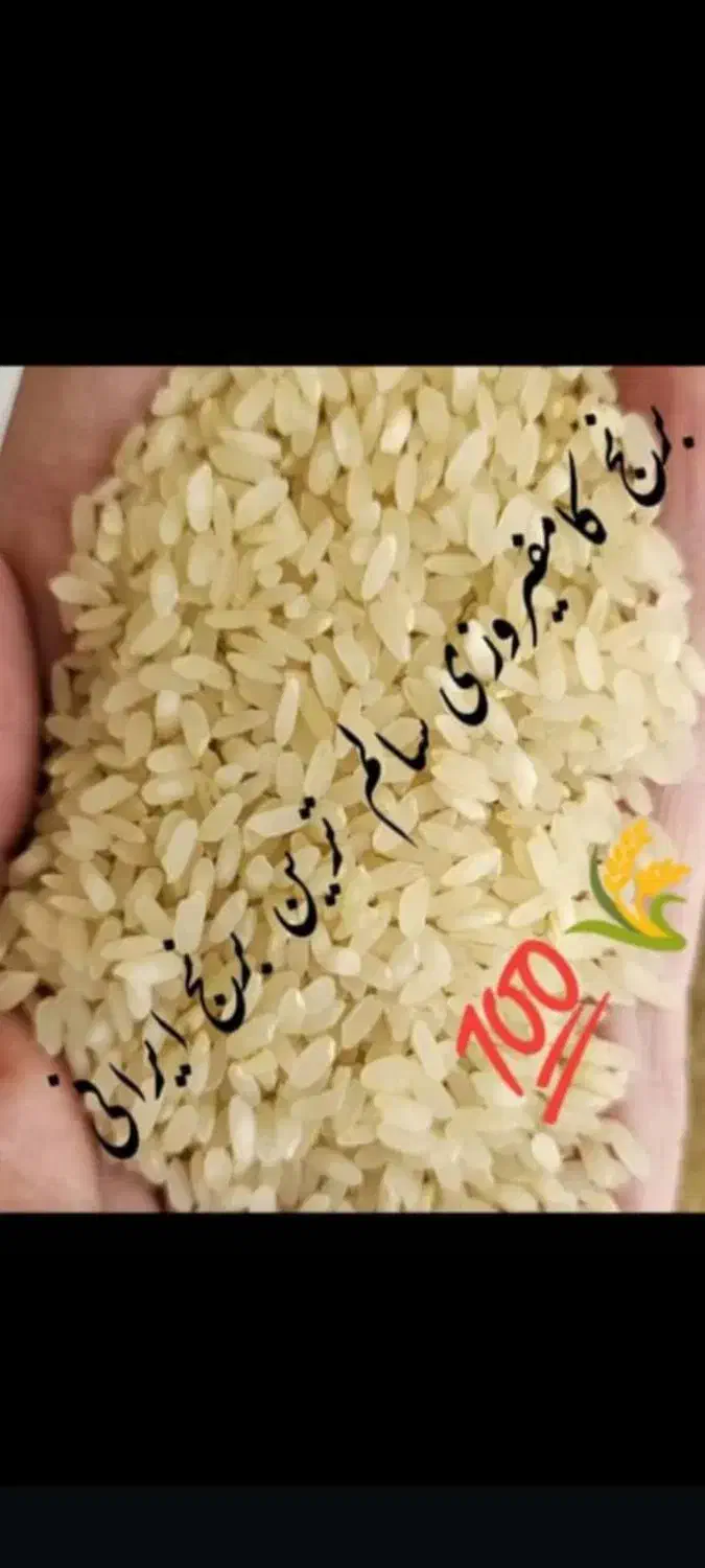 برنج وخورده برنج کامفیروزی درجه یک|خوردنی و آشامیدنی|شیراز, کوشک میدان|دیوار