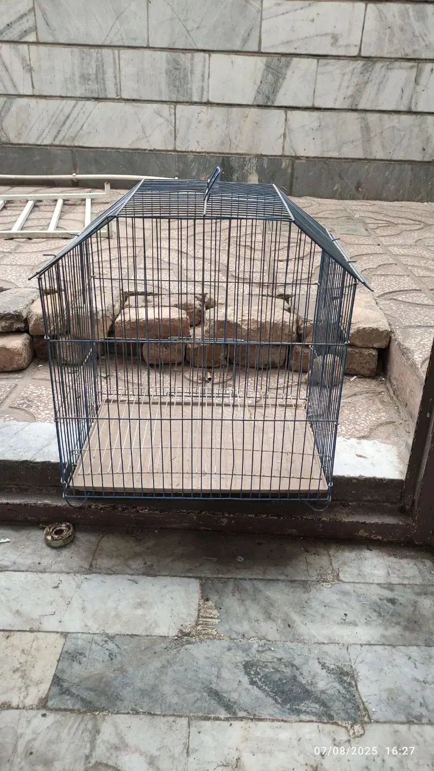 قفسه پرنده|لوازم جانبی حیوانات|مشکین‌دشت, |دیوار