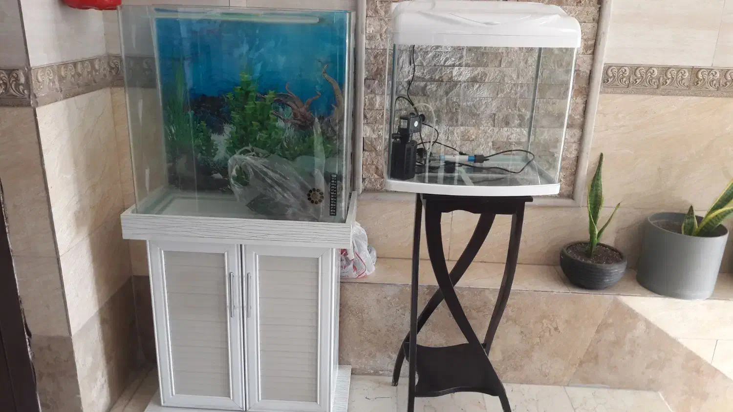 آکواریوم|ماهی|پردیس, فاز ۴|دیوار