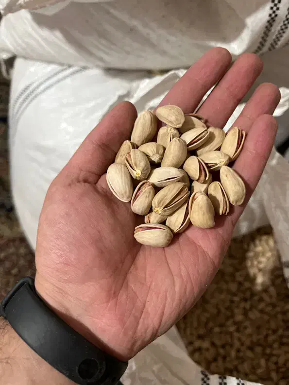 فروش پسته رفسنجان به صورت خرده و عمده|خوردنی و آشامیدنی|ری, دیلمان|دیوار