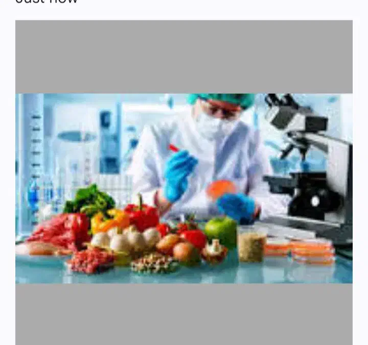 مهندس صنایع غذایی هستم|خدمات پیشه و مهارت|شیراز, خلیلی|دیوار