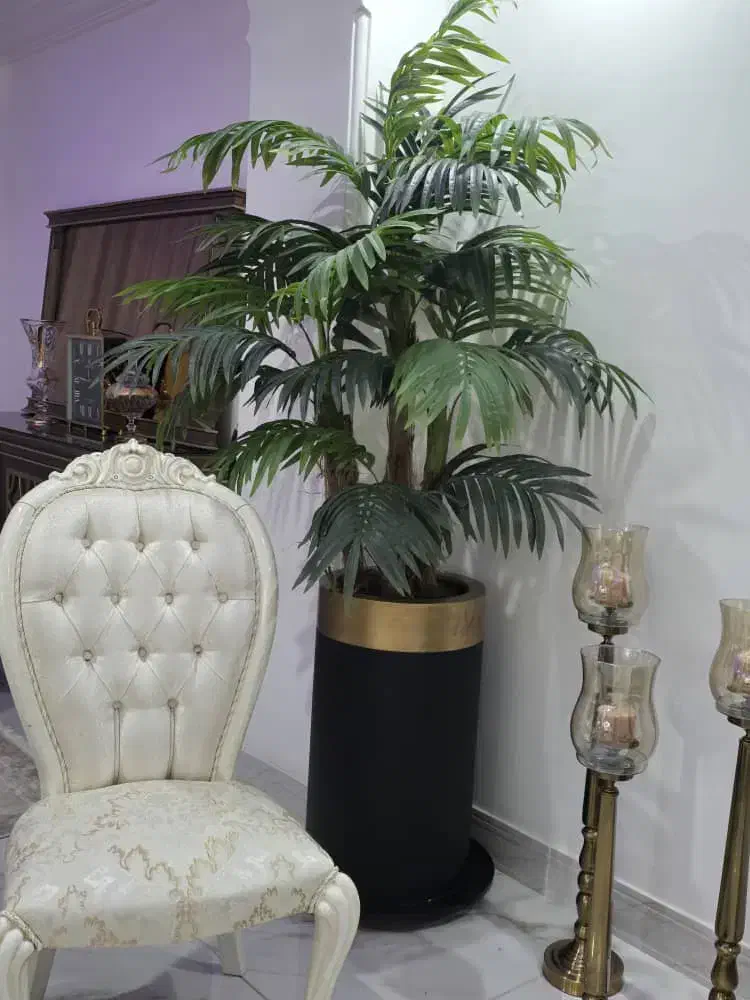 درختچه مصنوعی کنتیا سه تنه به همراه گلدان وارداتی|گل مصنوعی|بابل, |دیوار