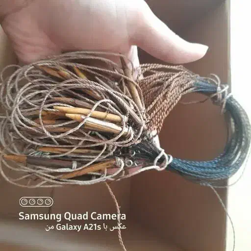 عکس دوم ببینید|لوازم جانبی حیوانات|فسا, |دیوار