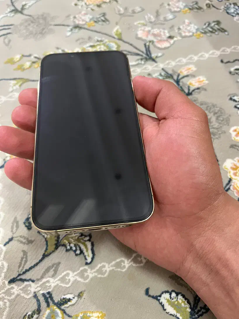 13 Pro|موبایل|زاهدان, |دیوار